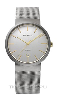  Bering 11036-004