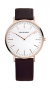  Bering 13738-564