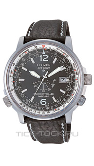  Citizen AS2031-14E