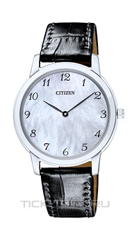  Citizen EG6001-12D