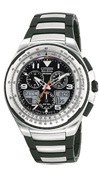  Citizen JR3125-55E