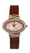  F.Gattien S252-BRR01