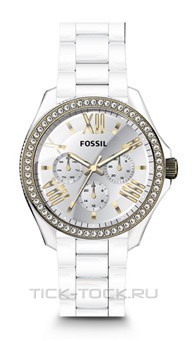  Fossil AM4493