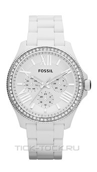  Fossil AM4494