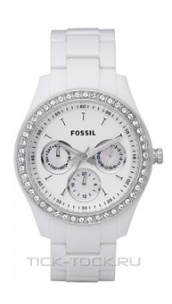  Fossil ES1967