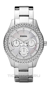  Fossil ES2860