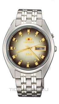  Orient FEM0401NP