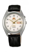  Orient FEM04020W