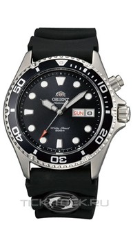  Orient FEM6500BB