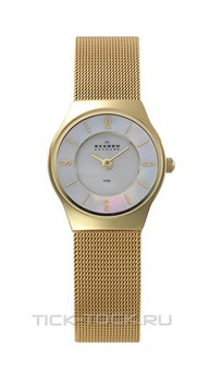  Skagen 233XSGG