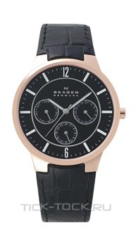  Skagen 331XLRLB