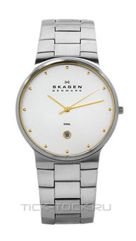  Skagen 455XLSGXC