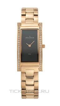 Skagen 459SRXB