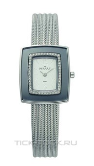  Skagen 463SSS