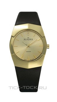 ���� Skagen 580SGLB