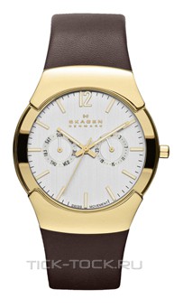 ���� Skagen 583XLGLD