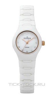  Skagen 816XSWXRC1