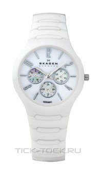  Skagen 817SXWC1