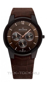  Skagen 856XLDRD