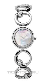 ���� Skagen 889SSXS