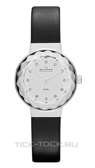  Skagen SKW2005