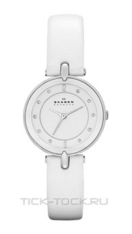  Skagen SKW2012