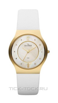  Skagen SKW2027