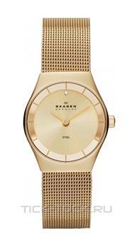  Skagen SKW2045