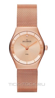  Skagen SKW2046