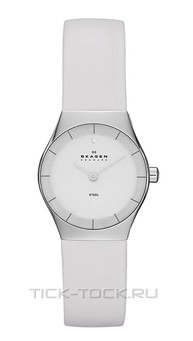  Skagen SKW2047