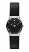  Skagen SKW2048