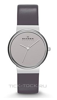  Skagen SKW2063