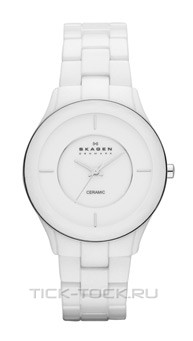  Skagen SKW2066