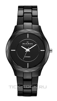  Skagen SKW2067