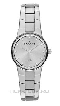  Skagen SKW2072