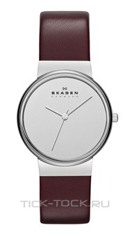  Skagen SKW2077