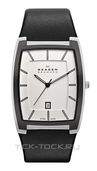  Skagen SKW6003