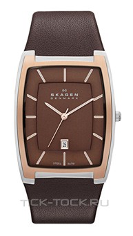  Skagen SKW6004