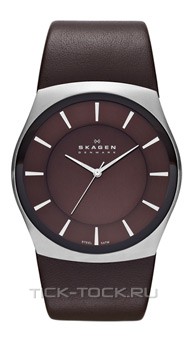  Skagen SKW6016