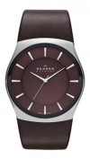  Skagen SKW6016