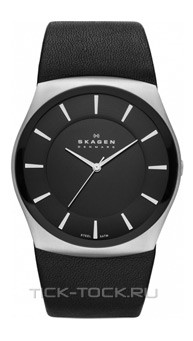  Skagen SKW6017