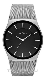  Skagen SKW6019