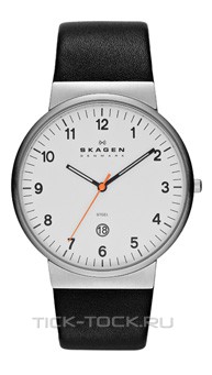  Skagen SKW6024