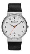  Skagen SKW6024