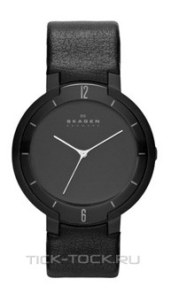  Skagen SKW6045