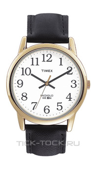  Timex T20491