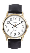  Timex T20491