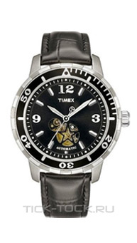  Timex T2M509