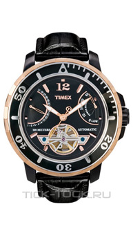  Timex T2M931