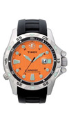  Timex T49617